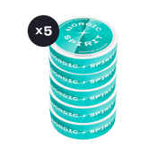 Nordic Spirit Spearmint Breeze Regular karton