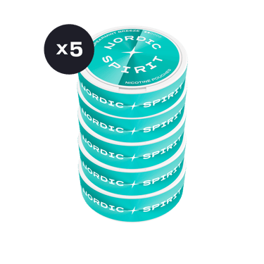 Nordic Spirit Spearmint Breeze Regular karton
