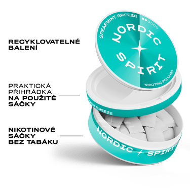 Nordic Spirit Spearmint Breeze Regular karton