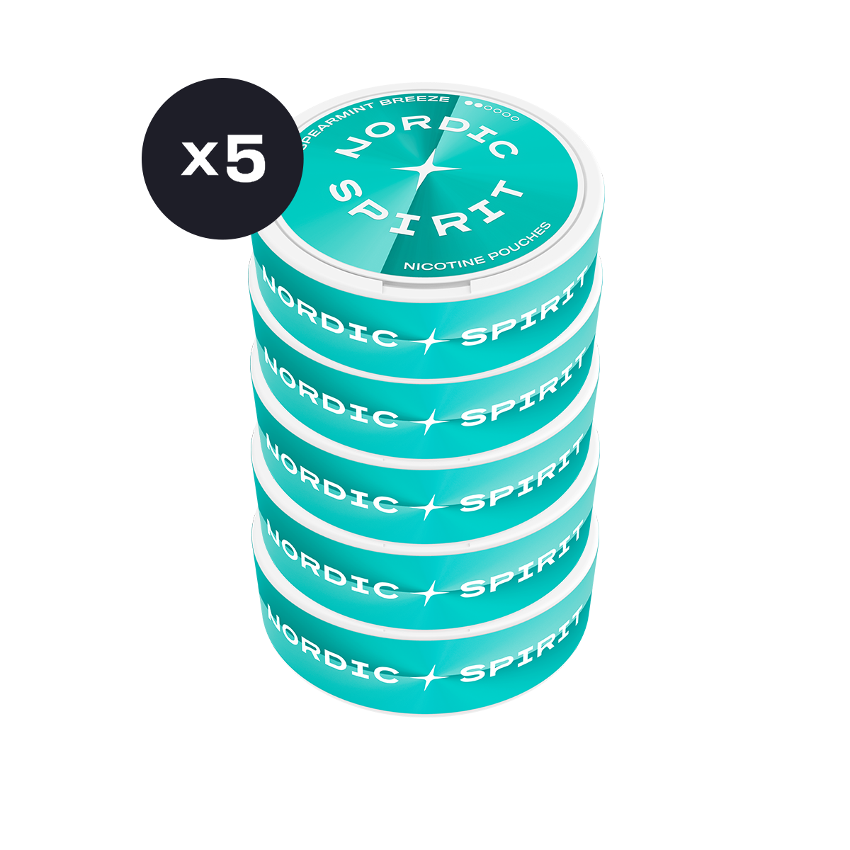 Nordic Spirit Spearmint Breeze Regular karton