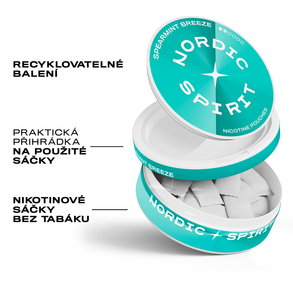 Nordic Spirit Spearmint Breeze Regular karton