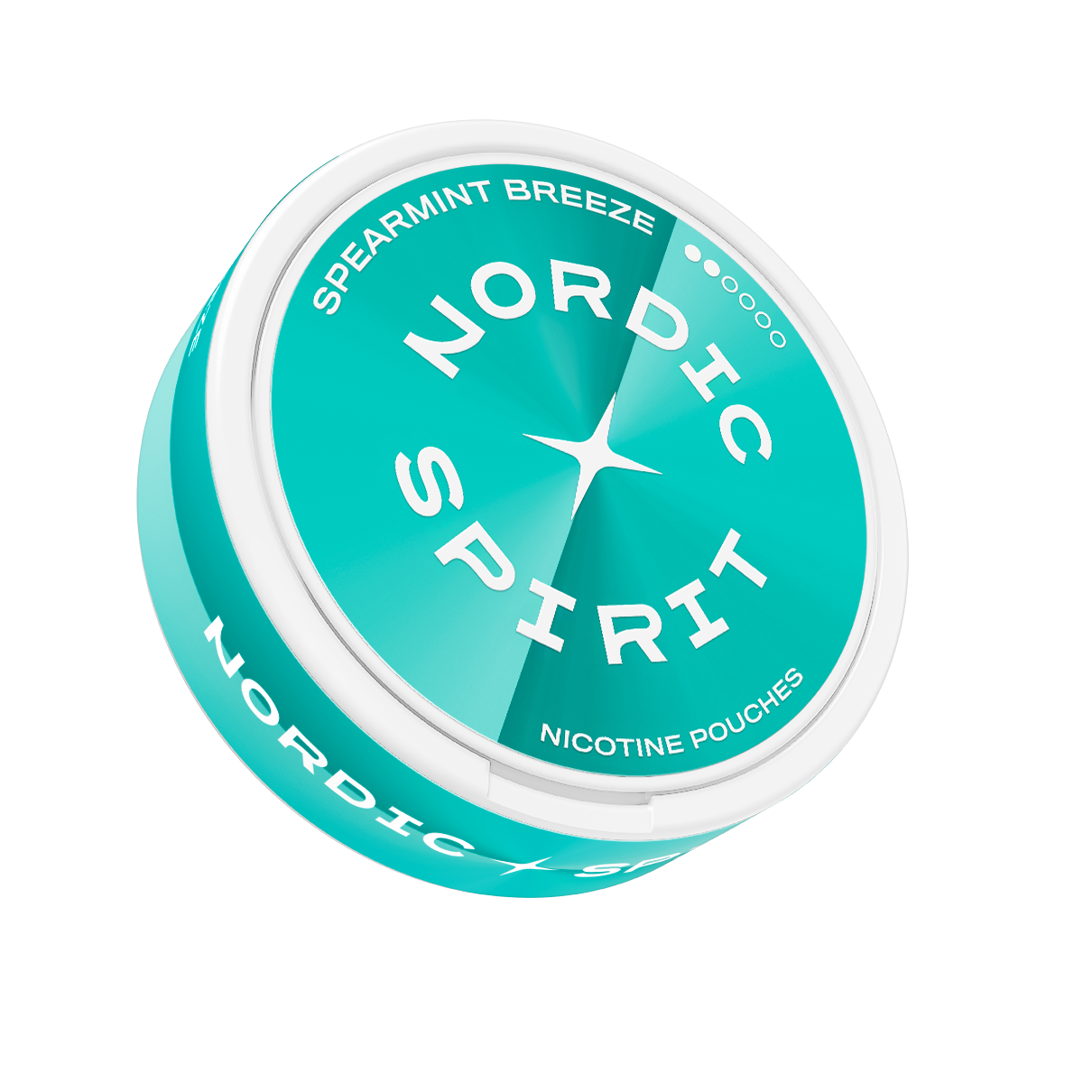 Nordic Spirit Spearmint Breeze Regular karton