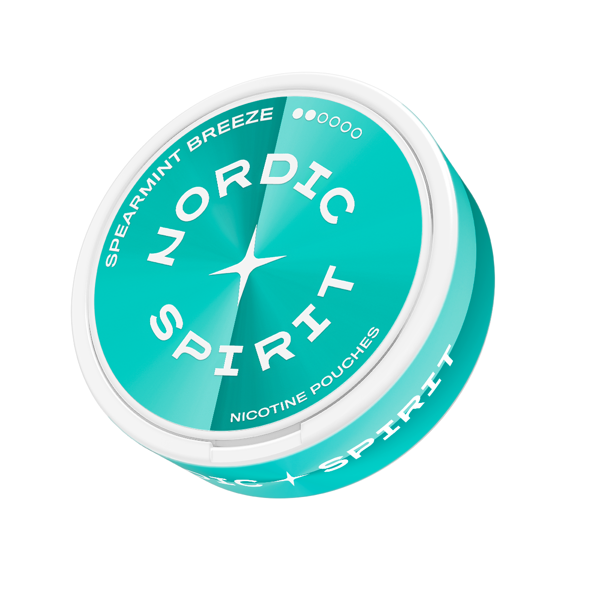Nordic Spirit Spearmint Breeze Regular karton
