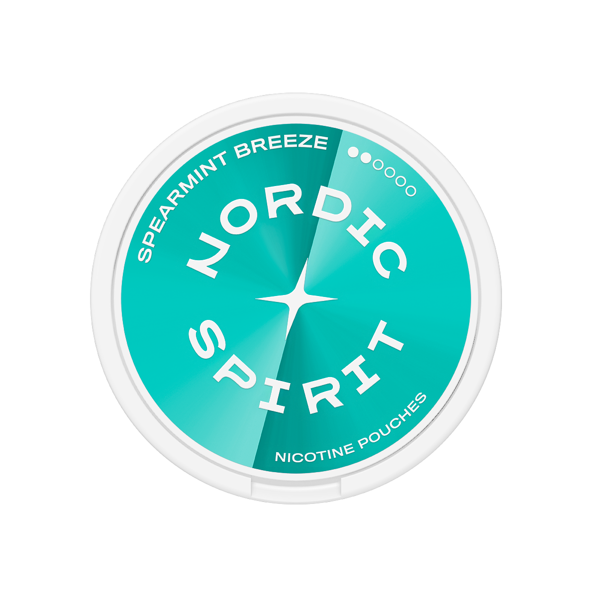 Nordic Spirit Spearmint Breeze Regular karton